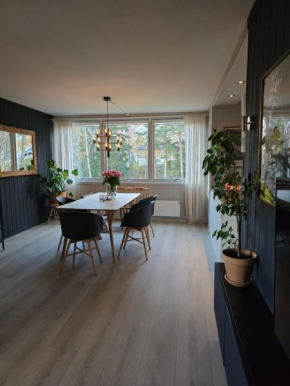Leilighet til leie